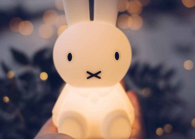 Bundle of Light Mr Maria Miffy