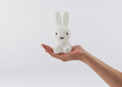 Bundle_Miffy_Hand