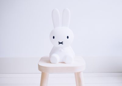 Miffy First Light Mr. Maria
