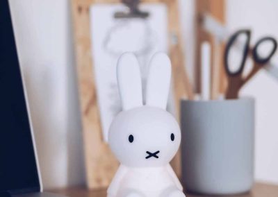 LR_BundleOfLight_Setting_Miffy