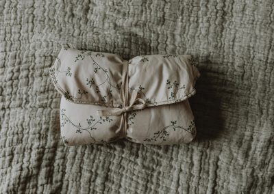 Change to Go_Botany_Garbo&Friends_Detail